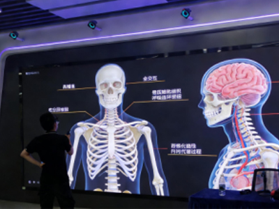 3D人体解剖与生理动态智慧教学系统