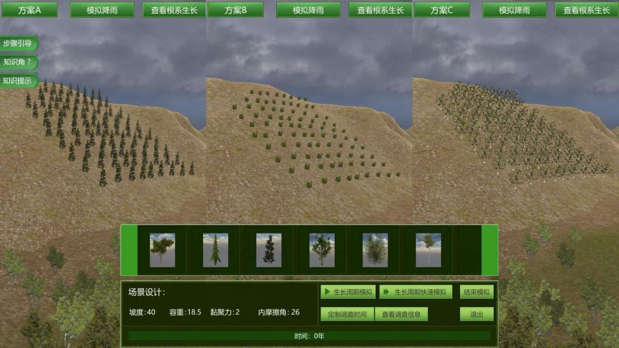 林木固坡分析虚拟仿真实验