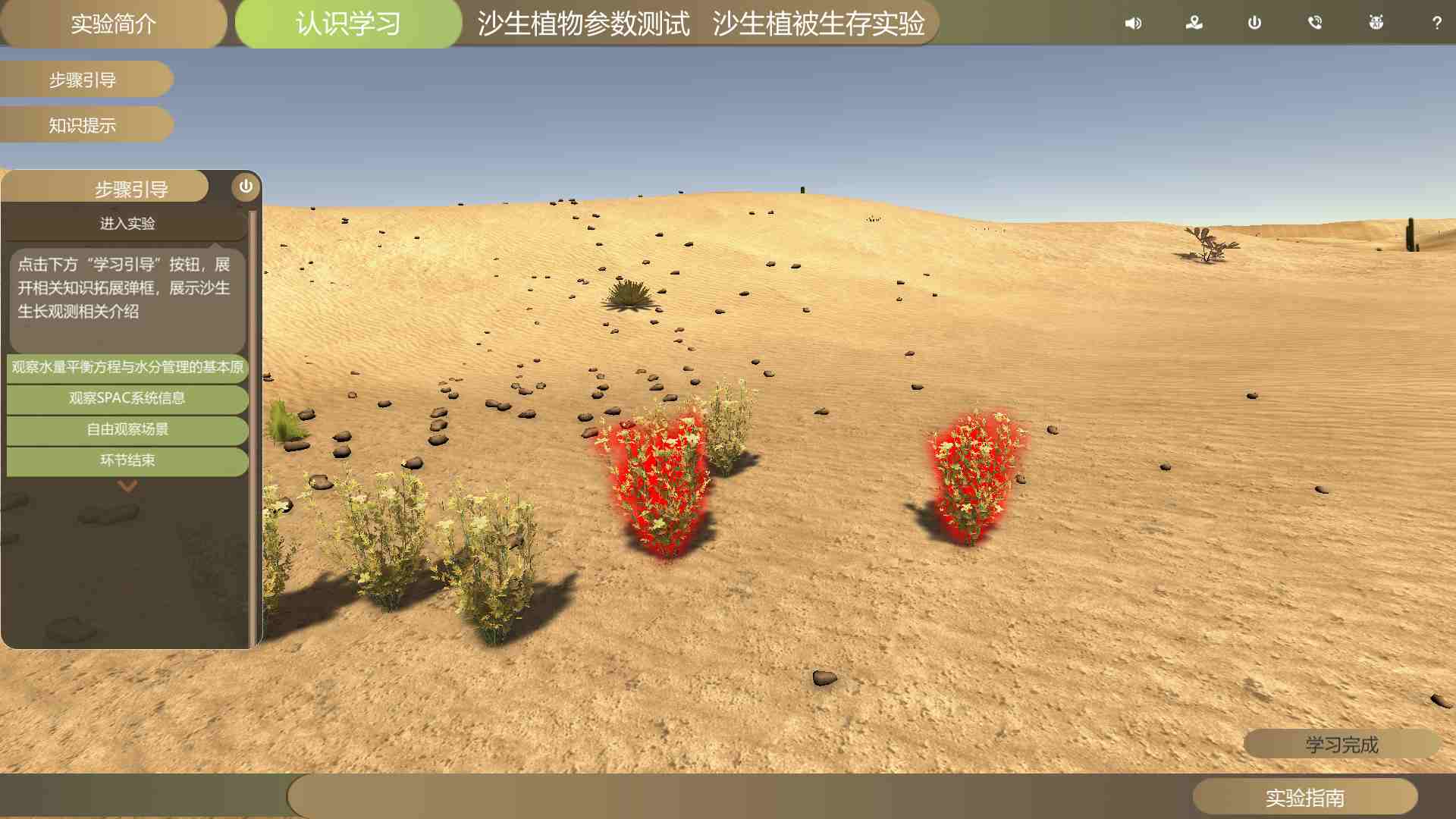 沙生植物生理学参数测定及水分管理虚拟仿真实验