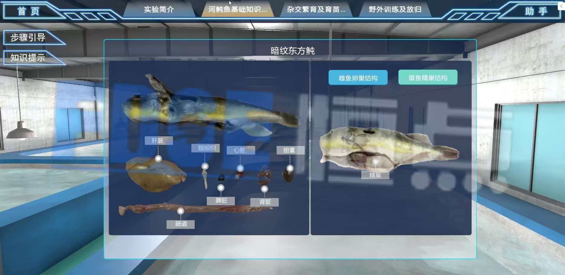 虚拟仿真实训教学资源共享平台