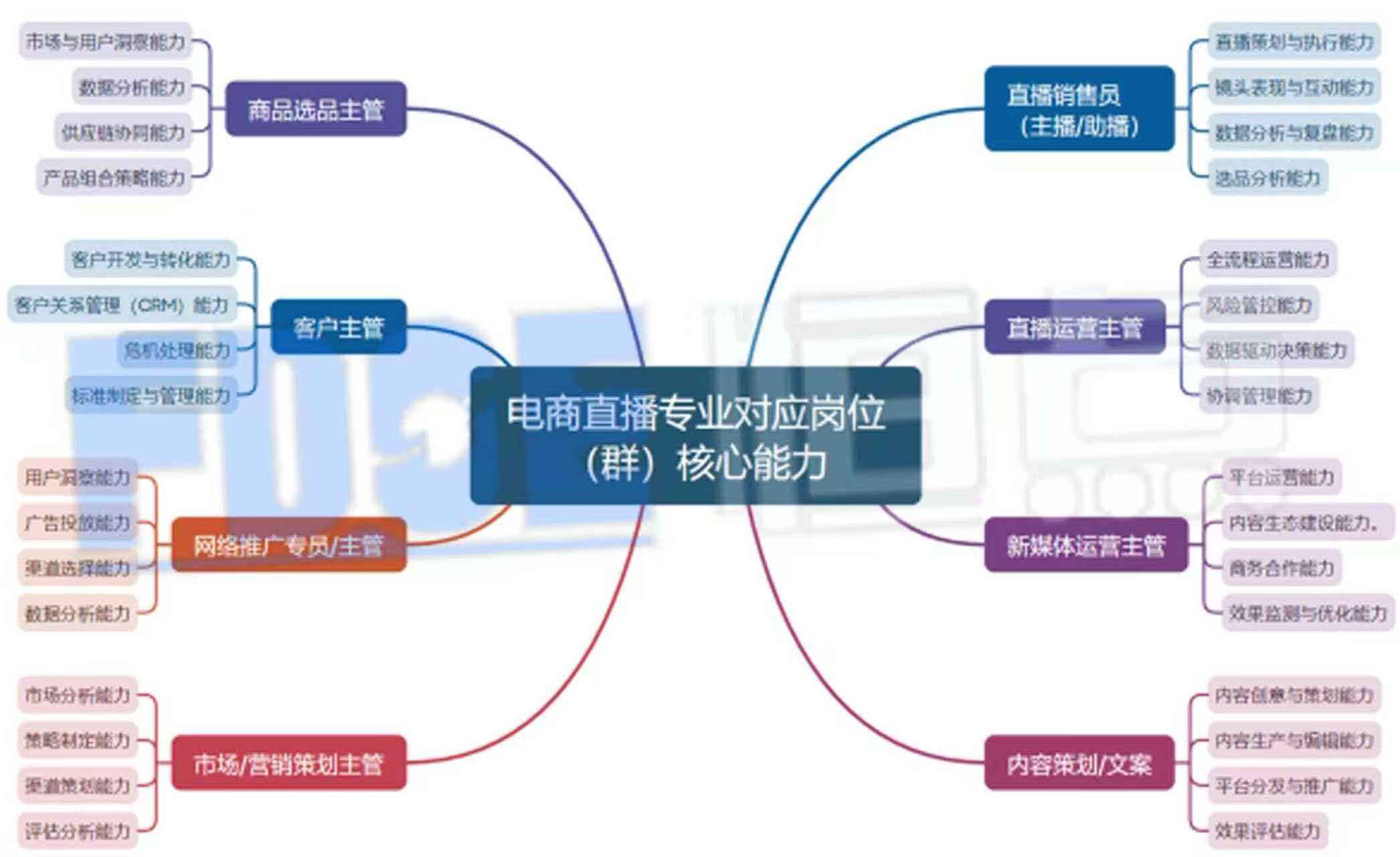 电商直播专业知识库
