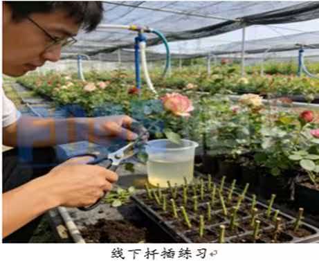 新型人才短缺，制约产业升级