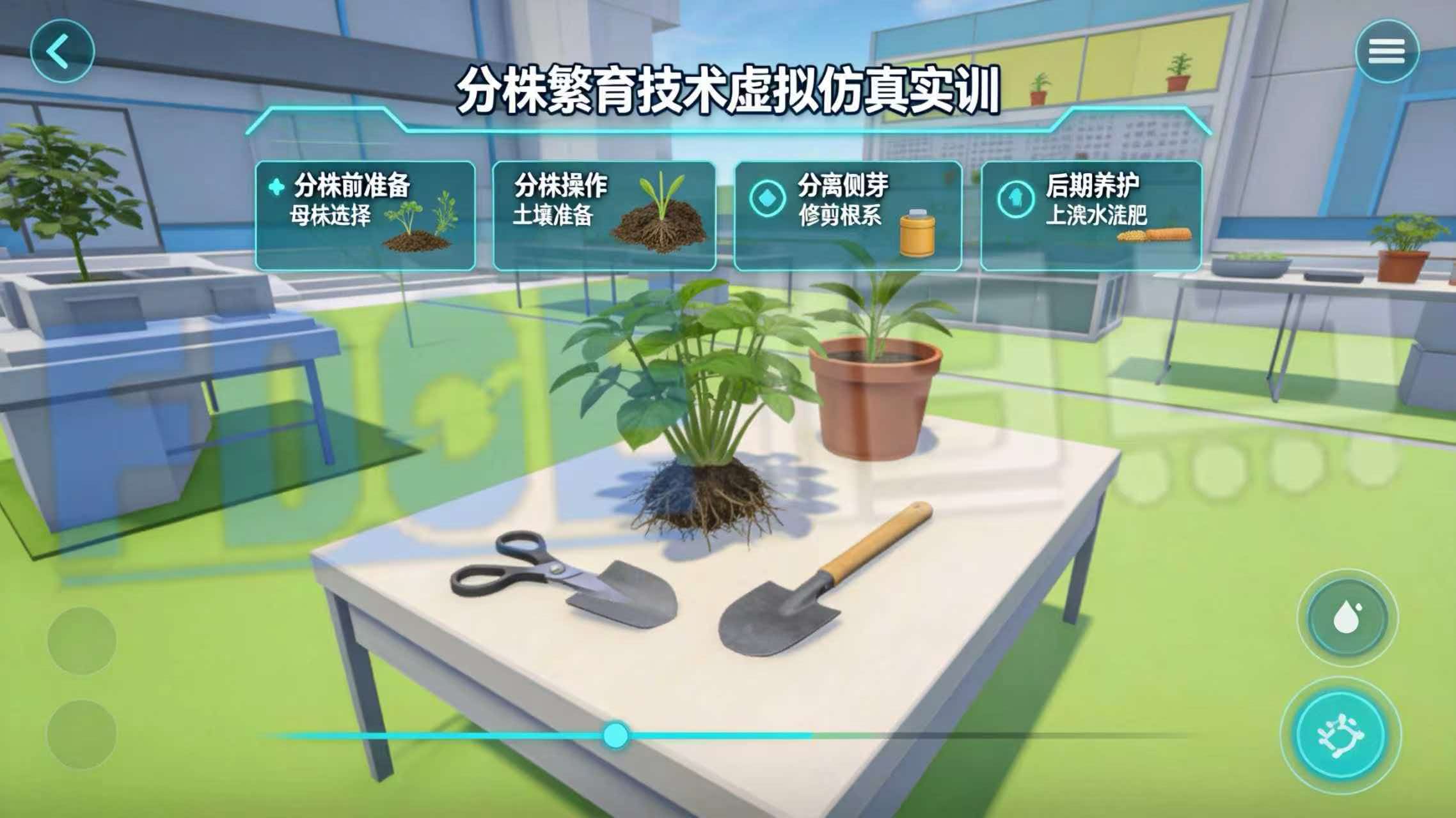 分株繁育技术虚拟仿真实训 分株繁育技术虚拟仿真实训